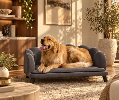 Pearl Design Pet Sofa for Medium and Large Sized Dogs, Pet Bed with Cushion and Solid Wood Legs, Charcoal Gray featured in How to Choose a Dog Sofa That Fits Your Pet and Your Room