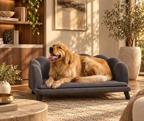 Pearl Design Pet Sofa for Medium and Large Sized Dogs, Pet Bed with Cushion and Solid Wood Legs, Charcoal Gray featured in How to Choose a Dog Sofa That Fits Your Pet and Your Room