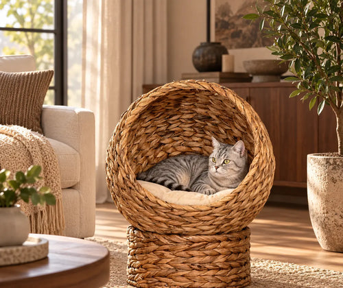Handwoven Elevated Cat Bed with Soft Cushion & Egg Chair Shape, Basket Bed Kitty House with Stand, Raised Wicker House for Indoor Cats, 23.5" H, Light Brown featured in Cat Bed vs. Cat Condo: How to Plan a Comfortable Indoor Pet Corner