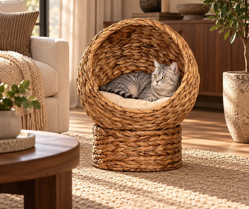 Handwoven Elevated Cat Bed with Soft Cushion & Egg Chair Shape, Basket Bed Kitty House with Stand, Raised Wicker House for Indoor Cats, 23.5" H, Light Brown featured in Cat Bed vs. Cat Condo: How to Plan a Comfortable Indoor Pet Corner