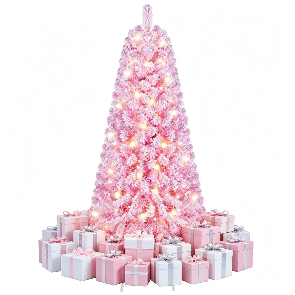 2507b52a5da96fab2ae63fa448212b3f